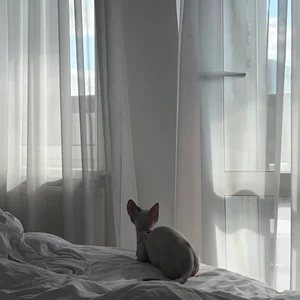 nancy_chancy 🐱 meet Yasya 🐱 зображення