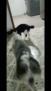 Public de Alex-Harrington  4 Imagens