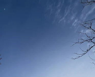 Nana_with Public  5. fénykép