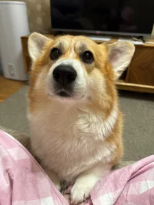 JuicyHelenX my friends صورة واحدة|JuicyHelenX my friends صورتان|JuicyHelenX my friends  4 صور|JuicyHelenX my friends  4 صورة