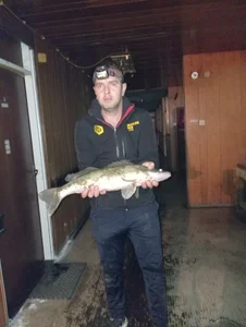 Alenride My passion Immagine  9