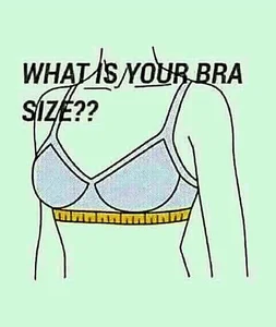 NiteDreamerchennai69Public图片 3