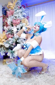 seraphine23の🎄🎉の 2枚の写真