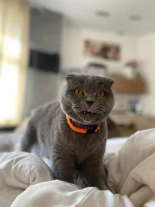 me with my lovely girl od SugarMuse  7 snímek