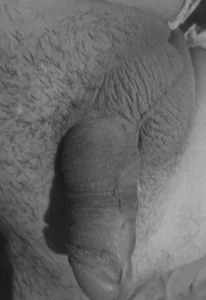 Zdjęcia torresflow99nais Public:  3