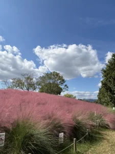 xxoLENAoxx expo a Osaka Pic 3