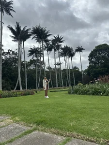 Always dreaming de kata22sofia  Imagens