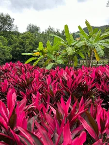 MistyBarnes China nature Pic 3