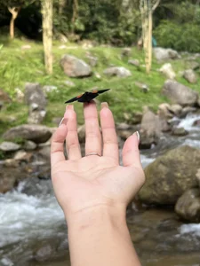 Victoria_adaamsのNext to nature 🌳🎋の 3枚の写真