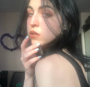 reze_daisiesPublic Bild 4