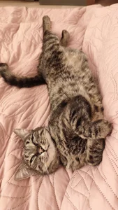 LanaRadiance My favorite Splyushka😸(My pussy) Pic 7