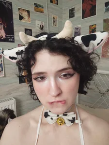 JackiePumpkinPie a cow . fénykép