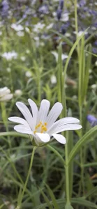 FreezingTie850: Public ( фото)