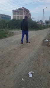 Rikon Bruze Immagine  4