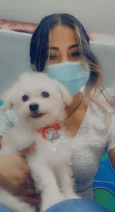 Rubyross21 Public  9. fénykép