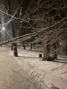 inga_gree: A little bit about my life ( 4 фото)