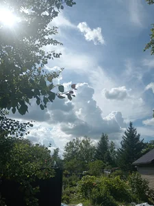 ToughDraft14Public图片