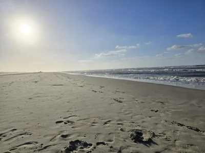 LOAY1997 Public صورة واحدة|LOAY1997 Public صورتان|LOAY1997 Public  5 صور|LOAY1997 Public  5 صورة