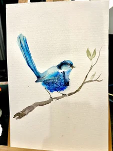 Timissi My paintings Foto