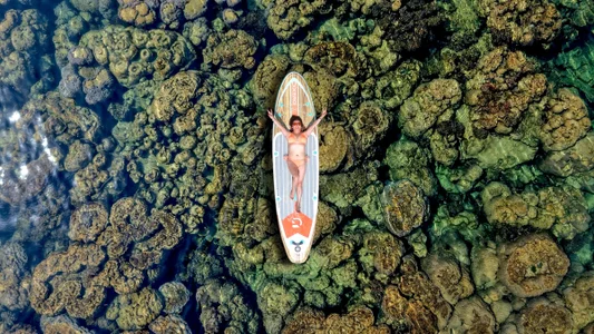 Jennyy88Jenny 2图片 2