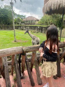 Tifanny_Sweett My favorite animals Bilde 2