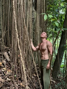 heilgarbest Rainforest Poză 4