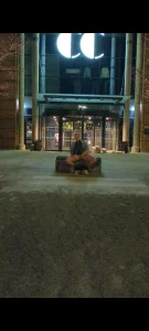 BrutalDominationandBeyond Public Hình 4