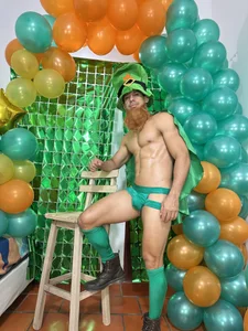 JoseRumbero26 Dia de celebracion de San Ptricio Foto 5