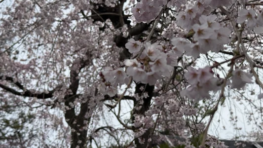 fatbear0109 Photograph 사진 2