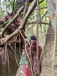 mike_aly: Mike in the jungle🐙🔥 ( 5 фото)