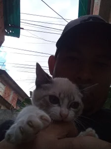 Dagor45 Pasatiempo Pic