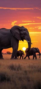 jidenna2004 Public Poză 8