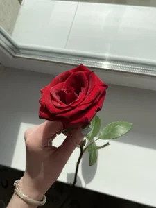 Zdjęcia AriellaTesk Gifts from Members: 