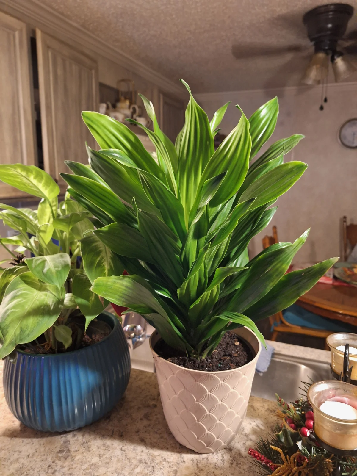 Cutiecumsalot Gambar Trending 4306