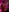 peche29's photo