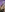 IRIS NAKED (PACK FOR 15 PHOTOS)