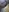 xopeachybaby's photo