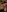 Newshantal_'s photo