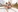 Rocco Siffredi Pictures