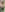 JhordanAndDanna's photo