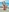 Sunshine beach