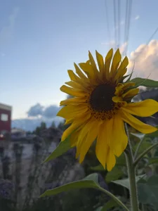 Touch_And_Run Atmospheric shots 🌼 Immagine  3