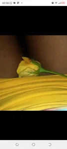 Public de aisha78  photos