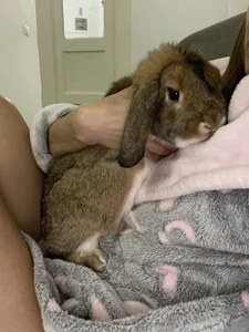 KirstenDanston Cake & Me Bilde