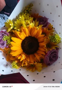 Chloe_Sky_love 💞💞 Pic