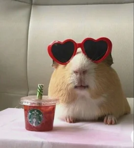 MitsuariA Public Εικόνα 5