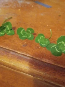 Creampieman@xh Public Bilde 4