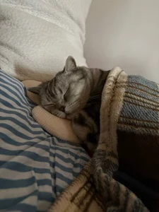 luna_berryy my little bun 😼 Pic