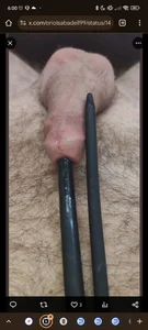 oriolbdn56 Public Pic 2