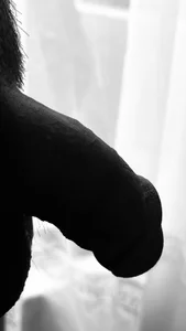 Drakejo Deleite Immagine  3